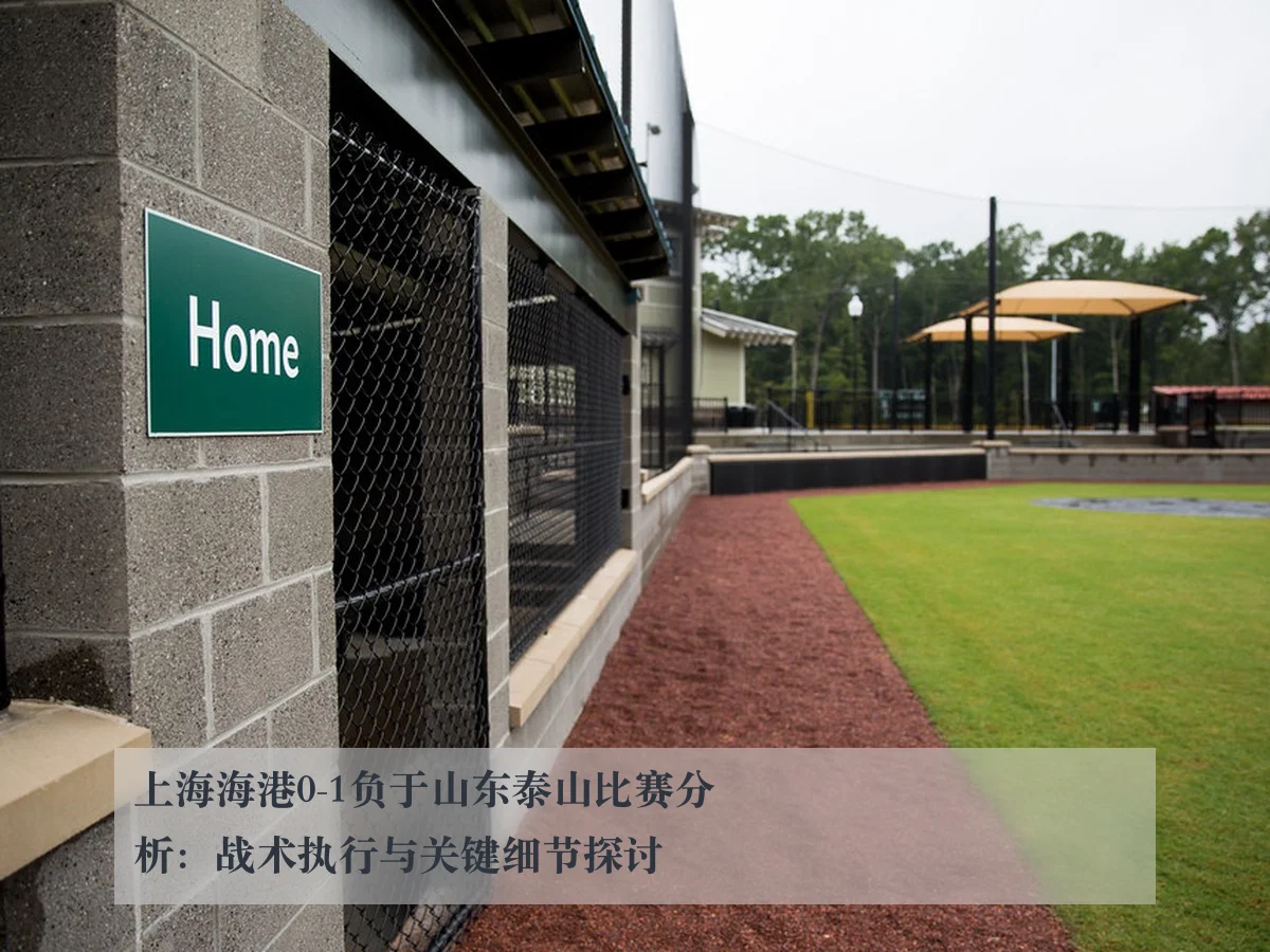 上海海港0-1负于山东泰山比赛分析：战术执行与关键细节探讨